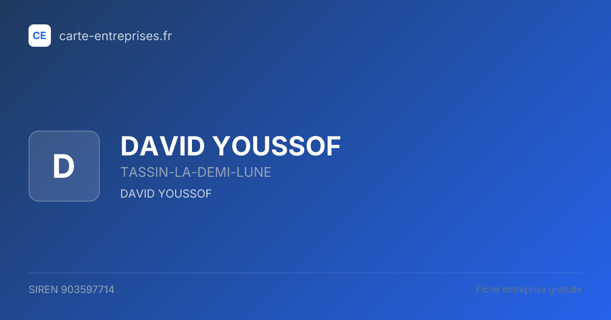 DAVID YOUSSOF — 903597714 — fiche entreprise