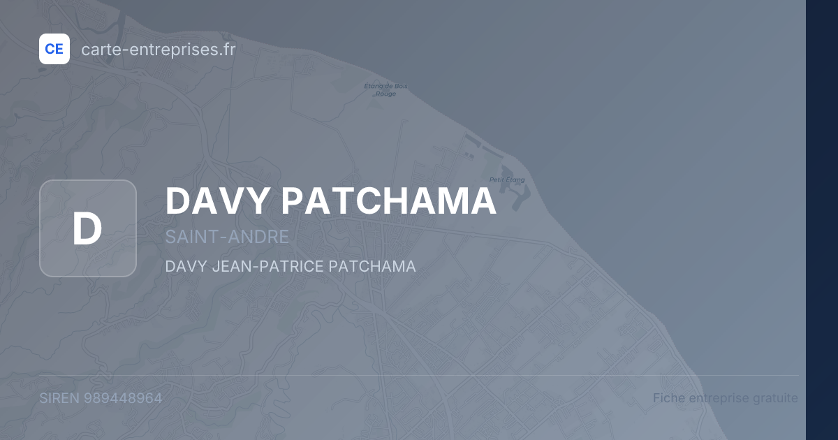 DAVY PATCHAMA — 989448964 — fiche entreprise