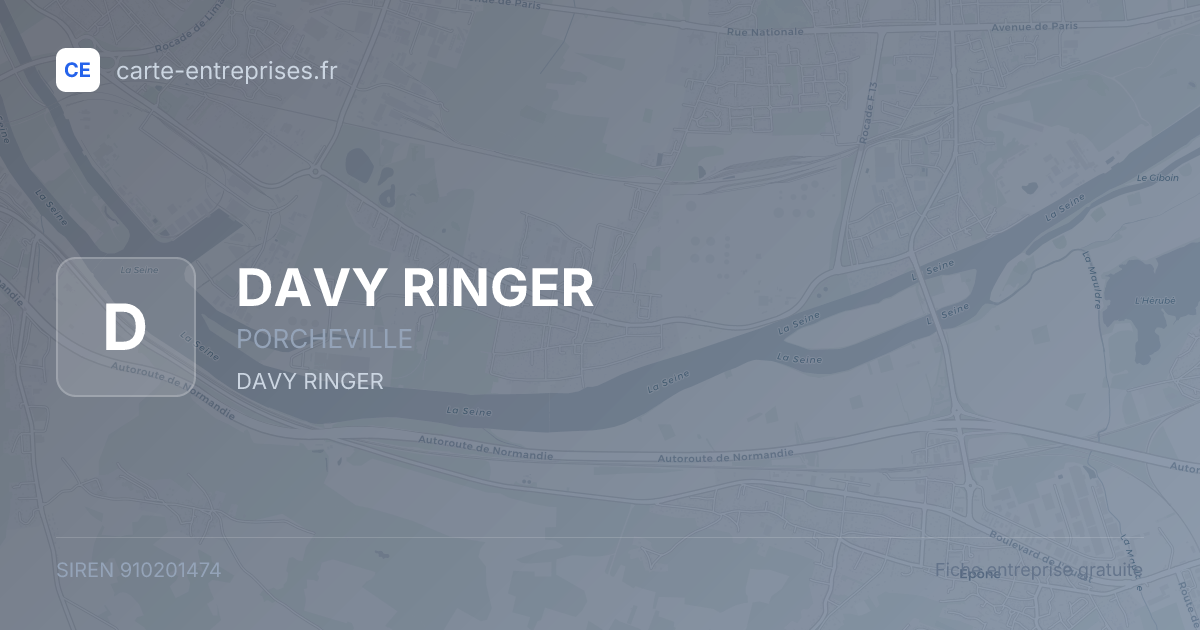 DAVY RINGER — 910201474 — fiche entreprise