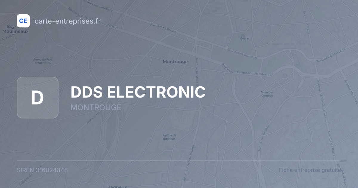 DDS ELECTRONIC — 316024348 — fiche entreprise