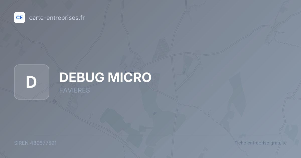 DEBUG MICRO — 489677591 — fiche entreprise