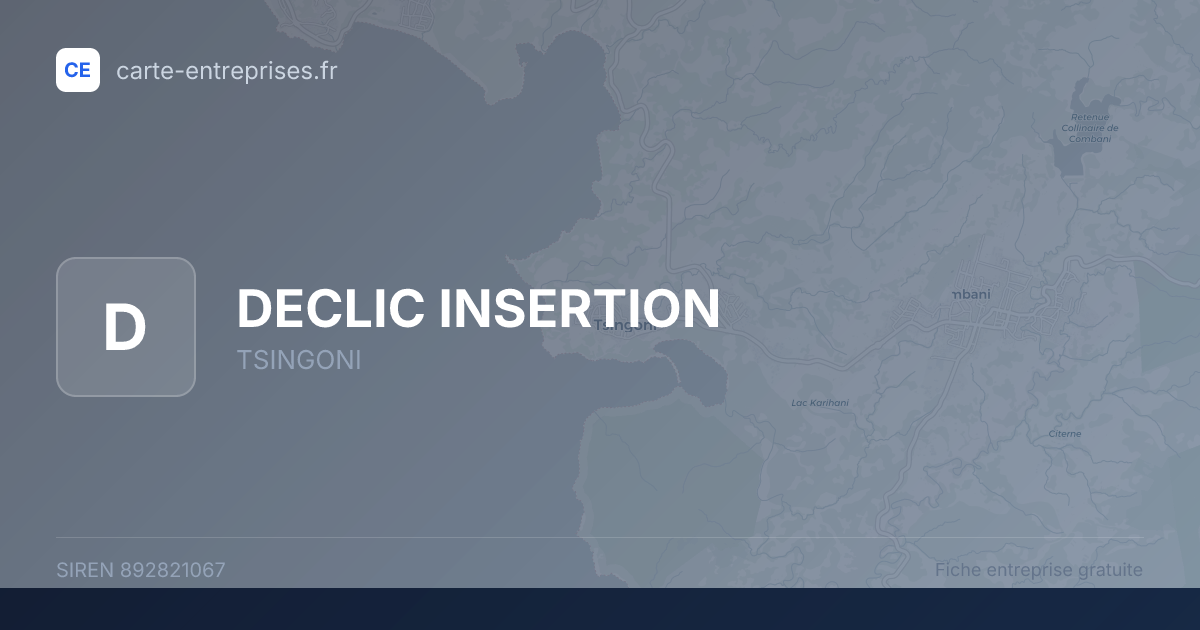 DECLIC INSERTION — 892821067 — fiche entreprise