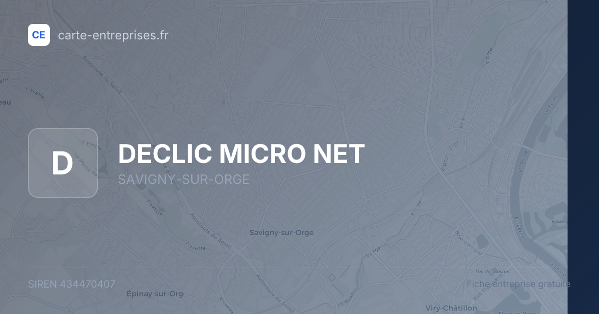 DECLIC MICRO NET — 434470407 — fiche entreprise