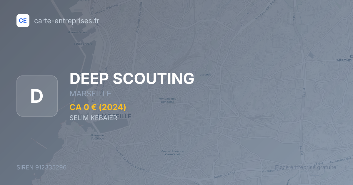 DEEP SCOUTING — 912335296 — fiche entreprise