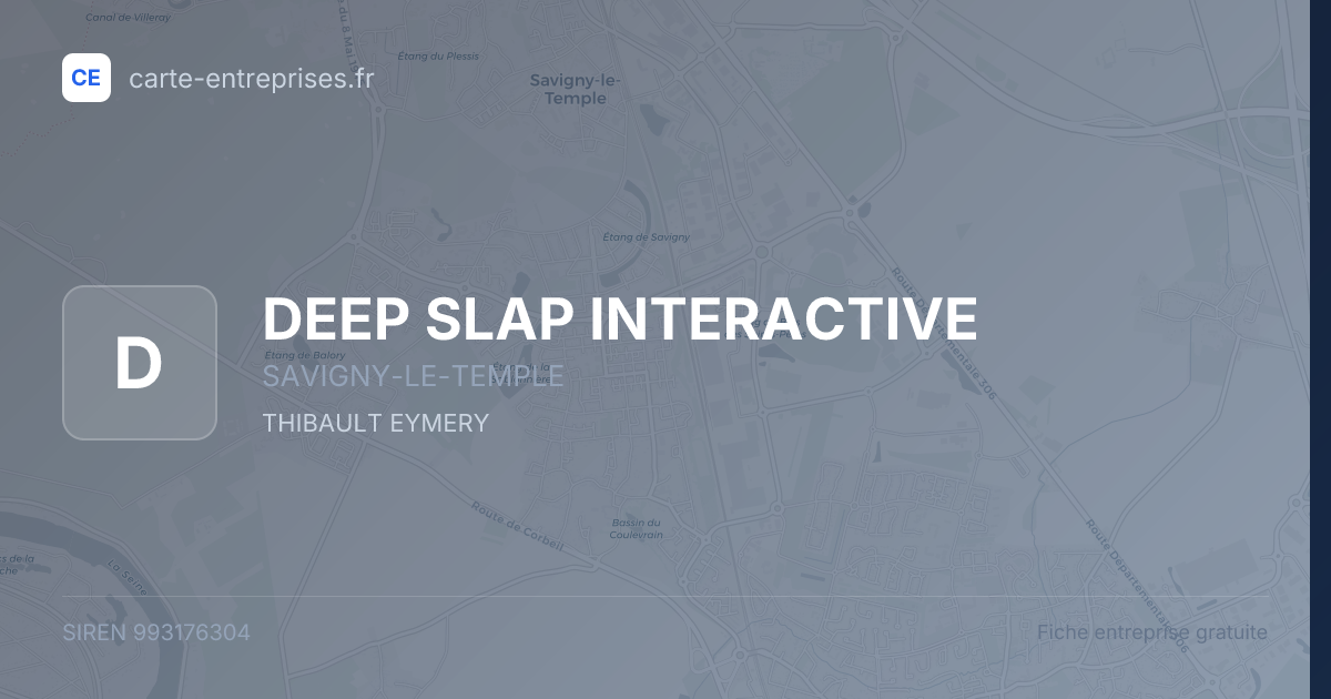 DEEP SLAP INTERACTIVE — 993176304 — fiche entreprise