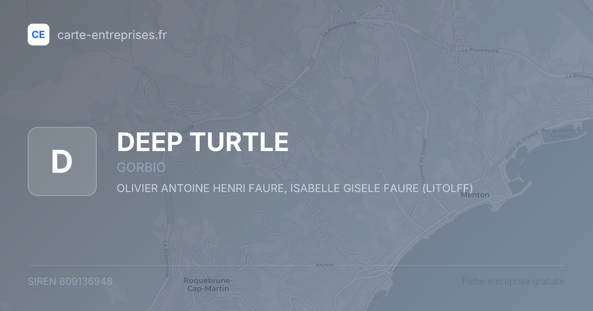 DEEP TURTLE — 809136948 — fiche entreprise