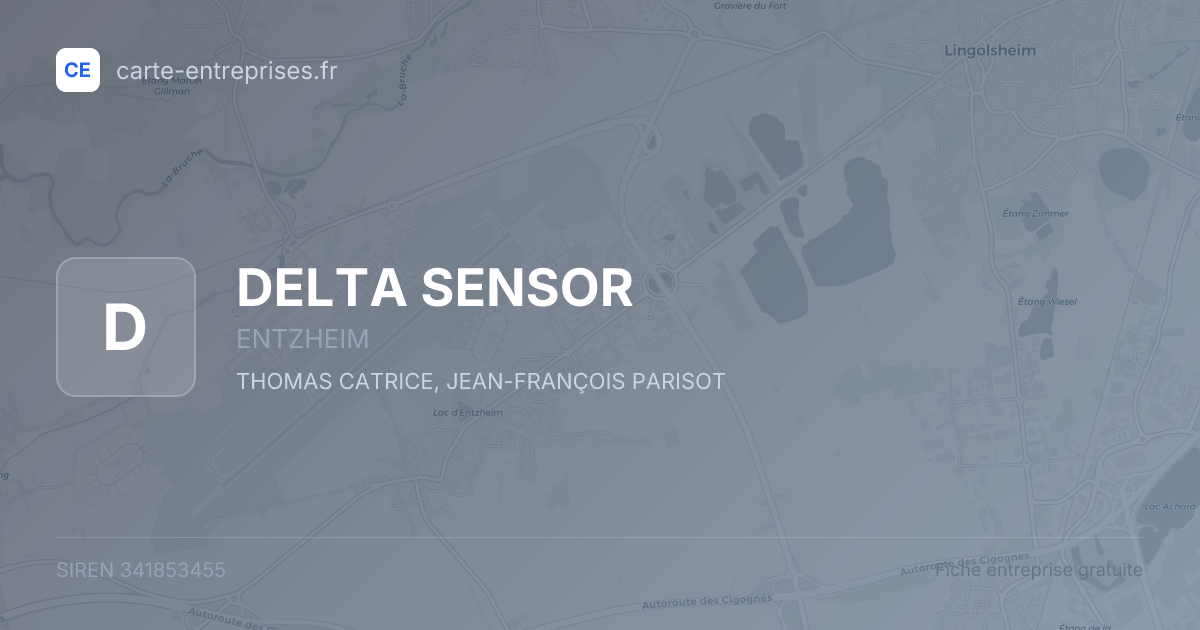 DELTA SENSOR — 341853455 — fiche entreprise
