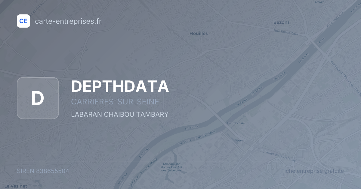 DEPTHDATA — 838655504 — fiche entreprise