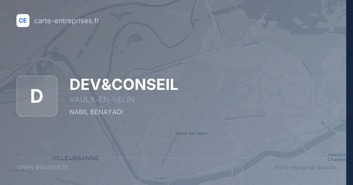 DEV&CONSEIL — 993495829 — fiche entreprise
