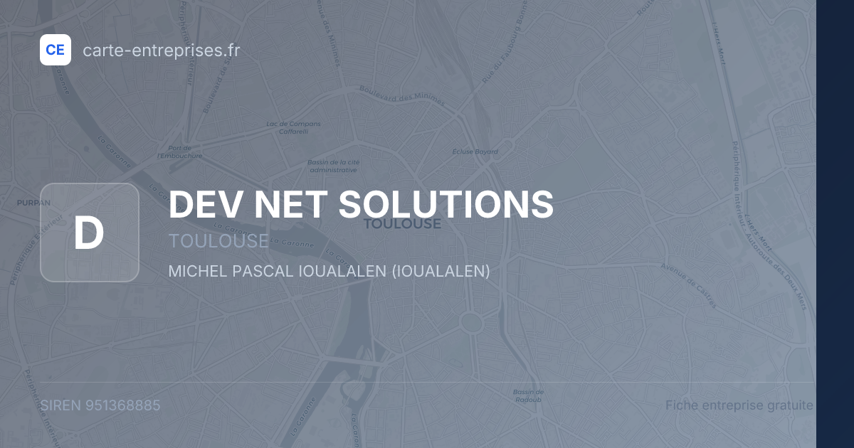 DEV NET SOLUTIONS — 951368885 — fiche entreprise