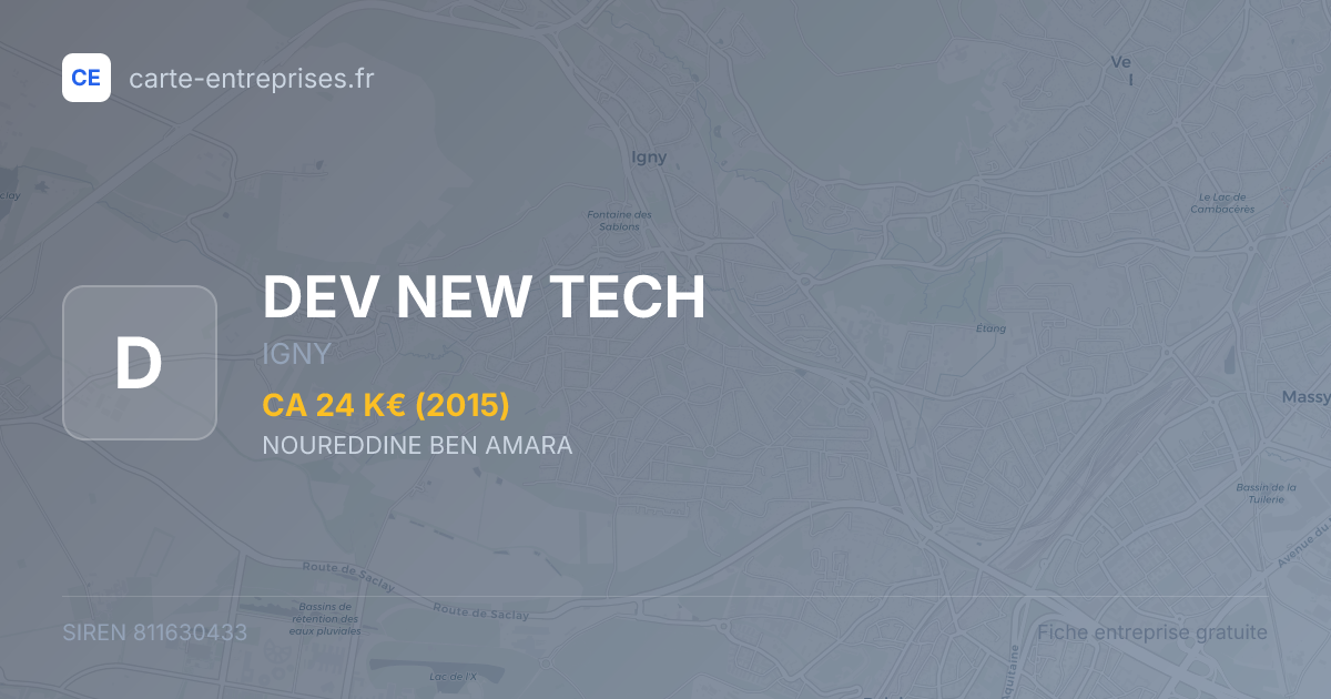 DEV NEW TECH — 811630433 — fiche entreprise