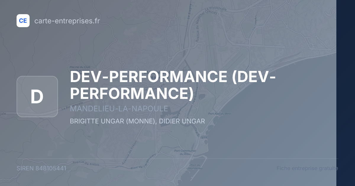 DEV-PERFORMANCE — 848105441 — fiche entreprise
