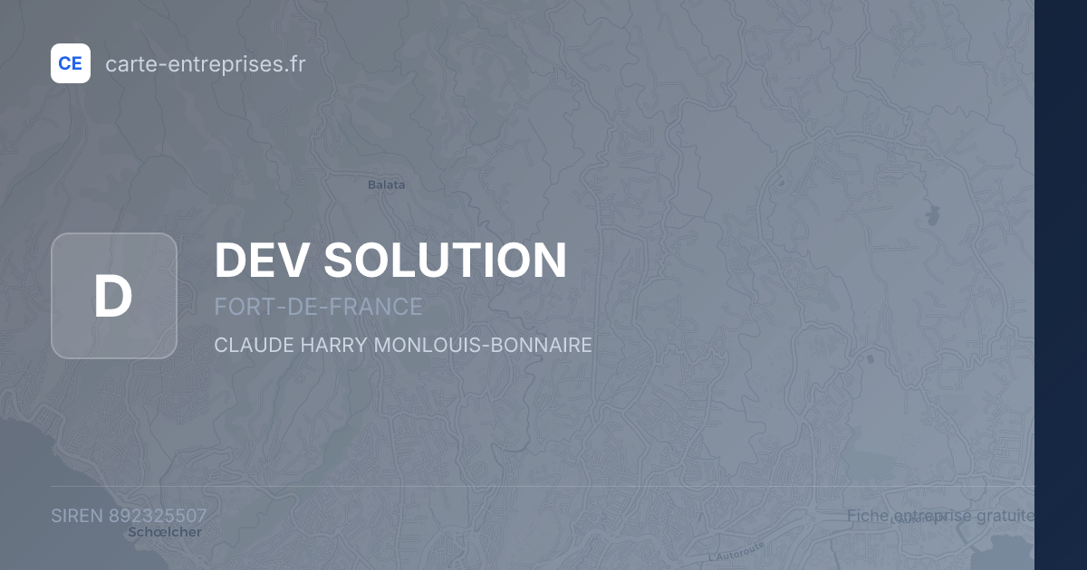 DEV SOLUTION — 892325507 — fiche entreprise