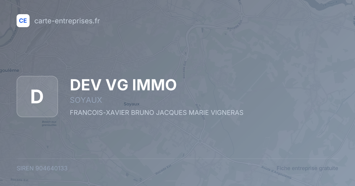 DEV VG IMMO — 904640133 — fiche entreprise