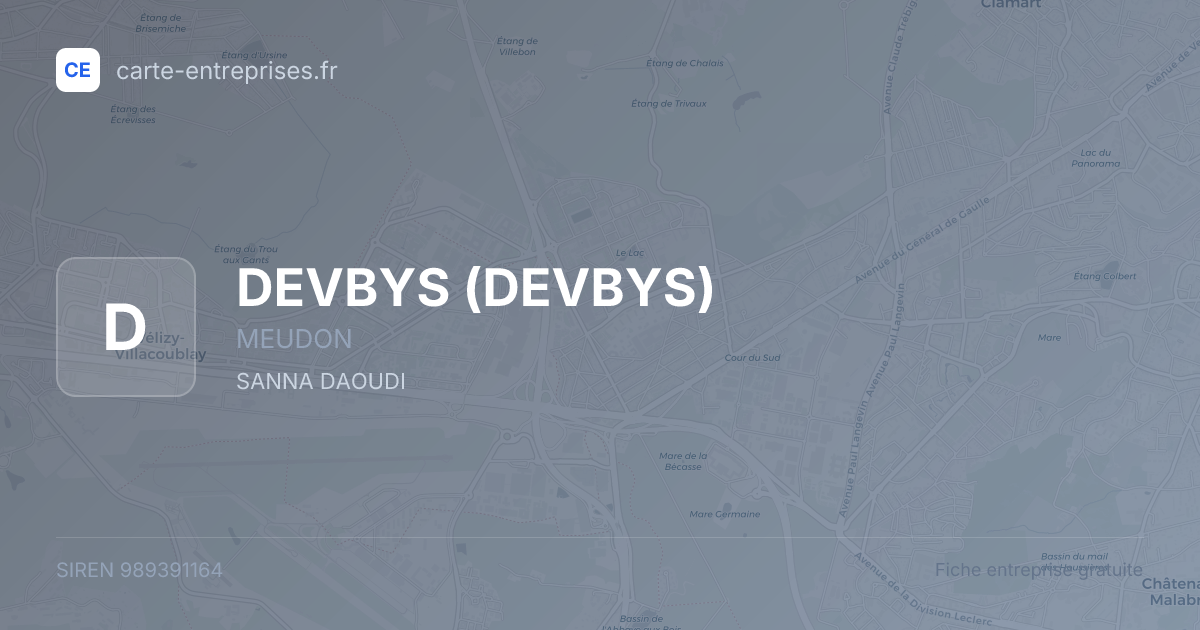 DEVBYS — 989391164 — fiche entreprise