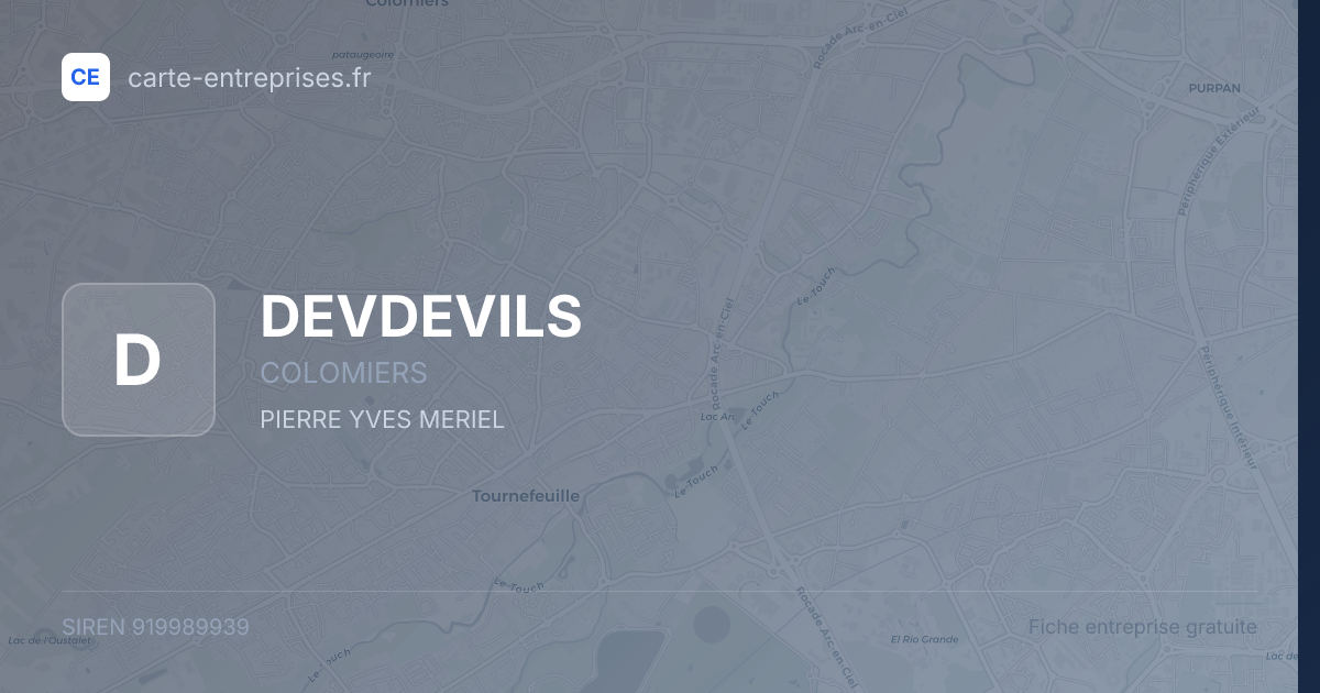 DEVDEVILS — 919989939 — fiche entreprise
