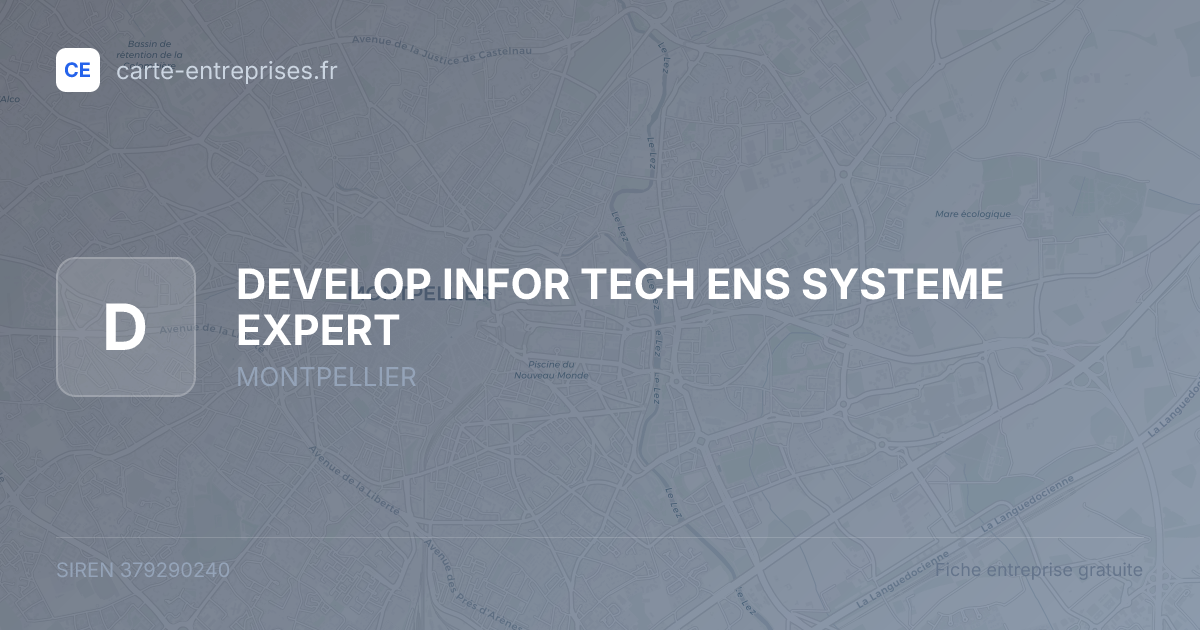 DEVELOP INFOR TECH ENS SYSTEME EXPERT — 379290240 — fiche entreprise