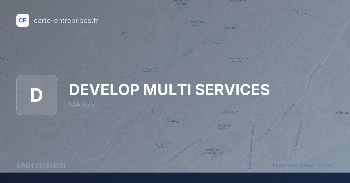DEVELOP MULTI SERVICES — 339876781 — fiche entreprise