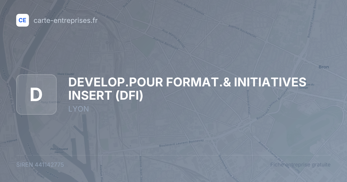 DEVELOP.POUR FORMAT.& INITIATIVES INSERT (DFI) — 441142775 — fiche entreprise