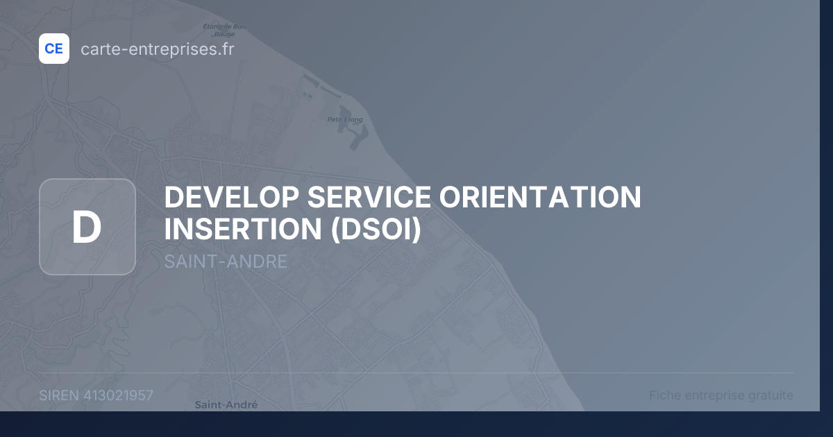 DEVELOP SERVICE ORIENTATION INSERTION (DSOI) — 413021957 — fiche entreprise