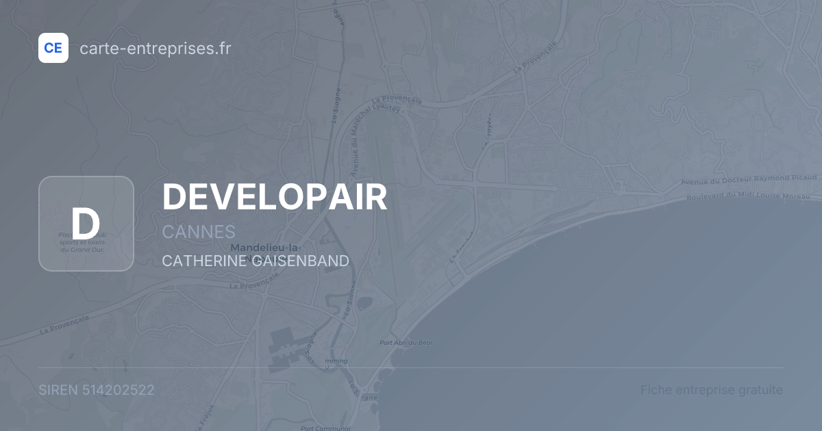 DEVELOPAIR — 514202522 — fiche entreprise