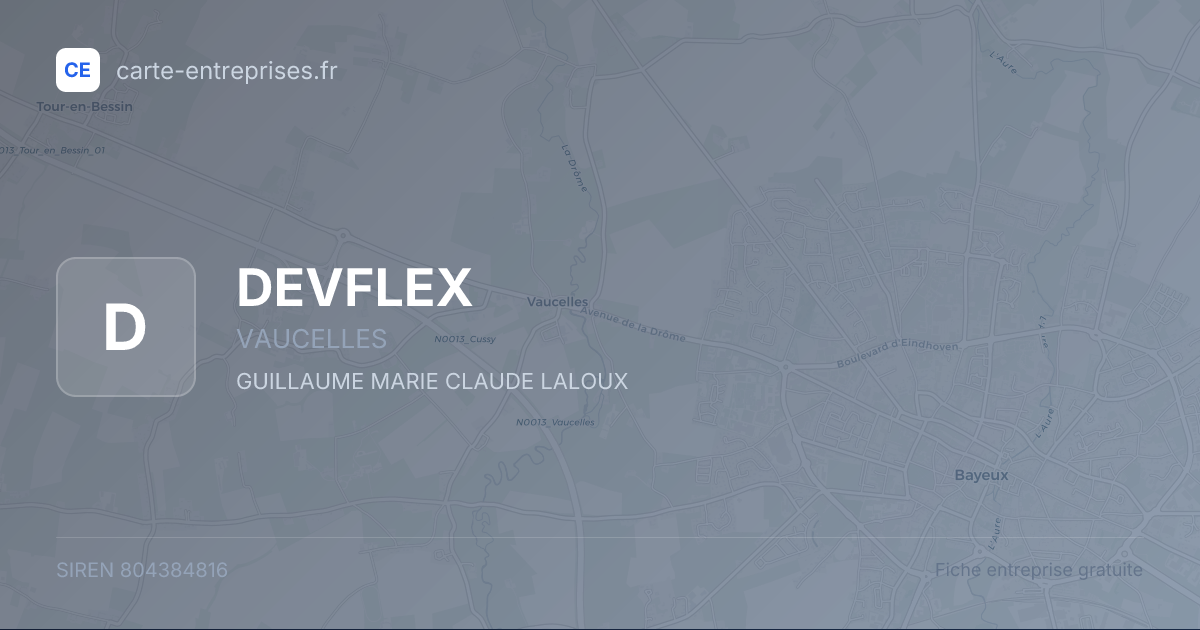 DEVFLEX — 804384816 — fiche entreprise