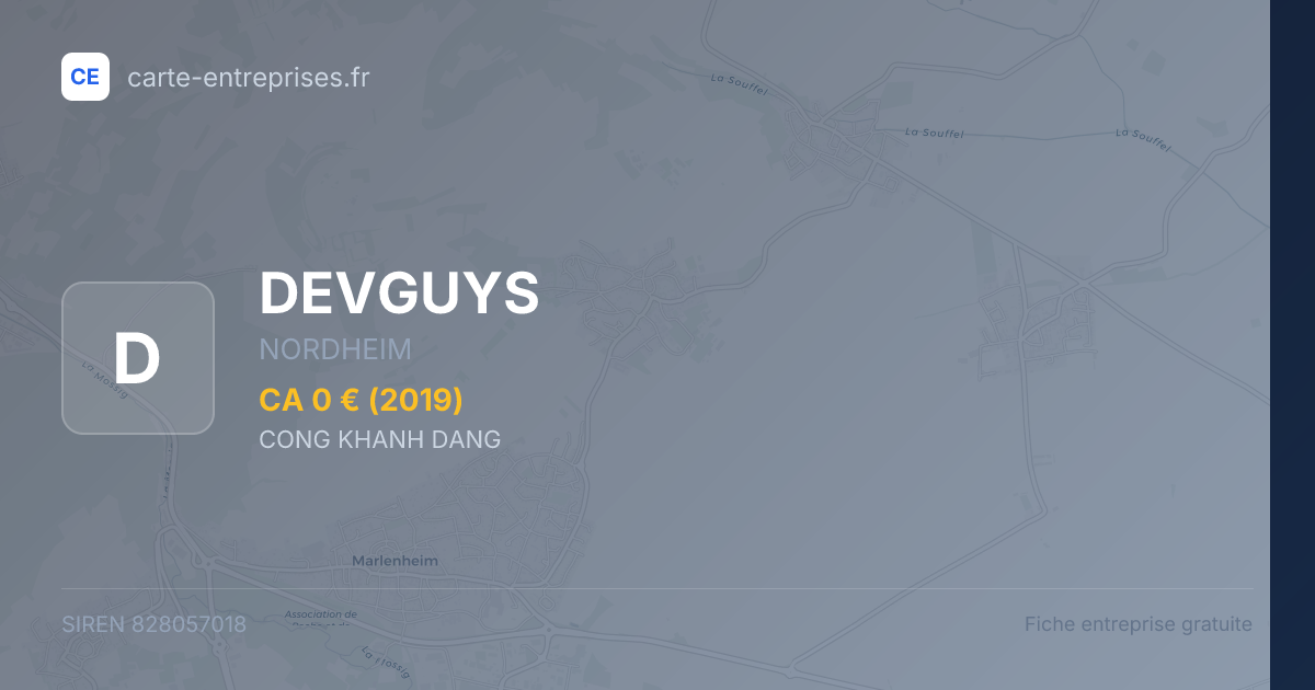 DEVGUYS — 828057018 — fiche entreprise