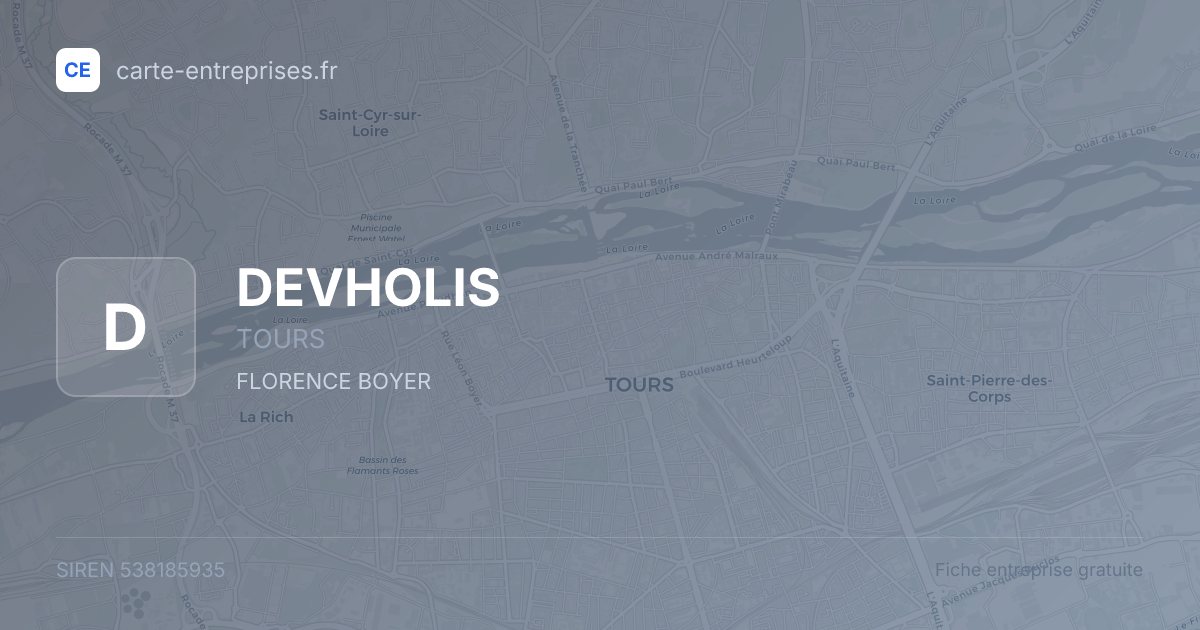 DEVHOLIS — 538185935 — fiche entreprise