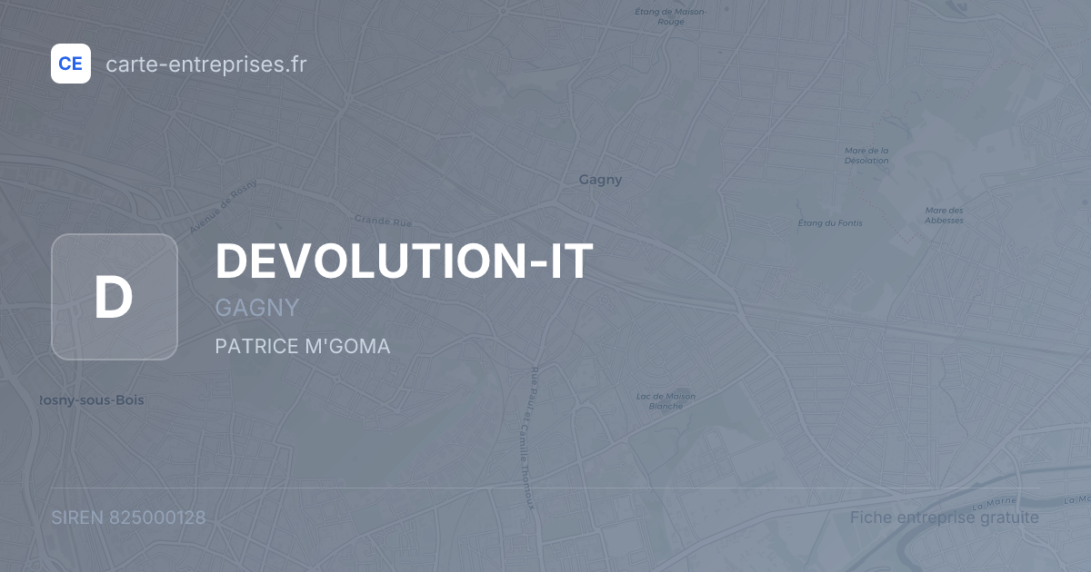 DEVOLUTION-IT — 825000128 — fiche entreprise