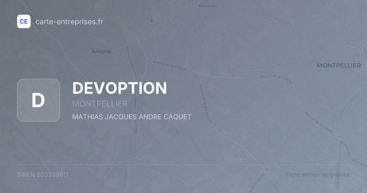 DEVOPTION — 803339811 — fiche entreprise