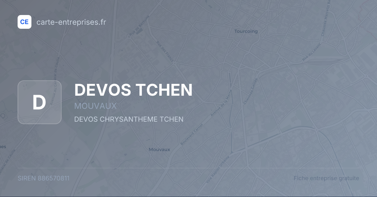 DEVOS TCHEN — 886570811 — fiche entreprise