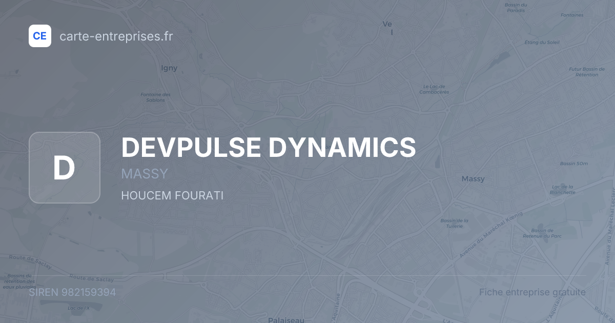 DEVPULSE DYNAMICS — 982159394 — fiche entreprise