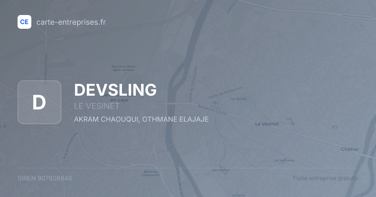 DEVSLING — 907806848 — fiche entreprise