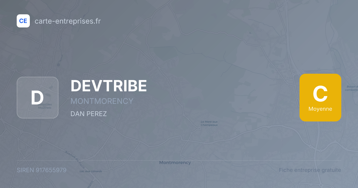 DEVTRIBE — 917655979 — fiche entreprise