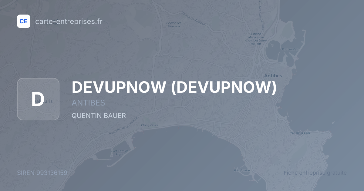 DEVUPNOW — 993136159 — fiche entreprise