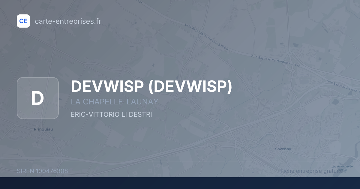 DEVWISP — 100476308 — fiche entreprise