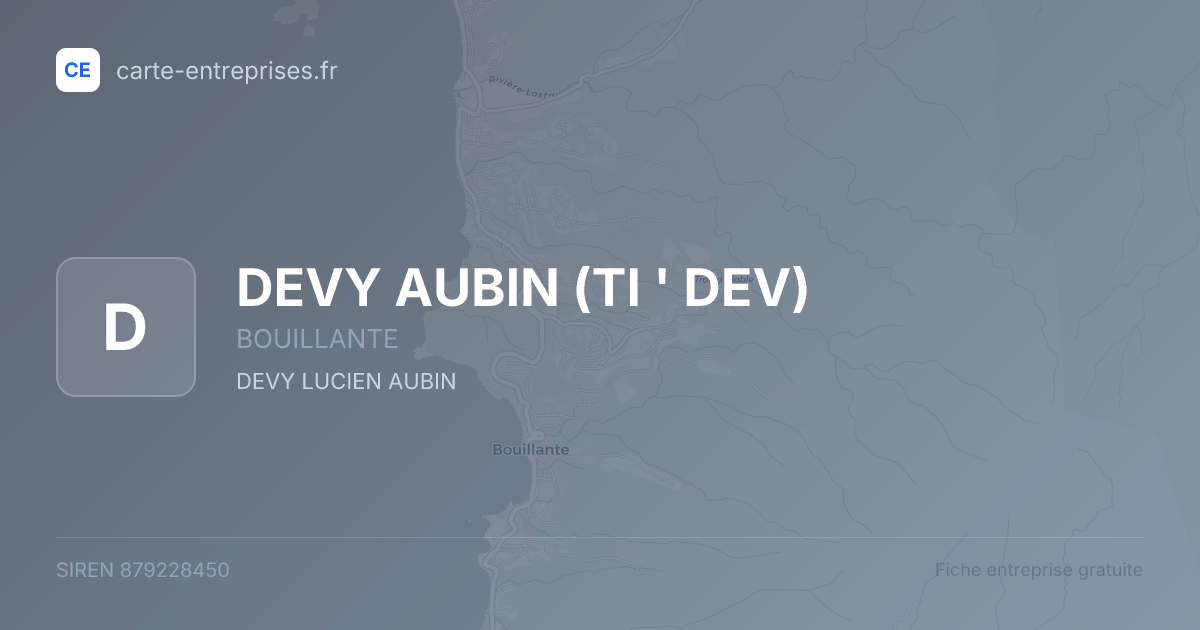 DEVY AUBIN (TI ' DEV) — 879228450 — fiche entreprise
