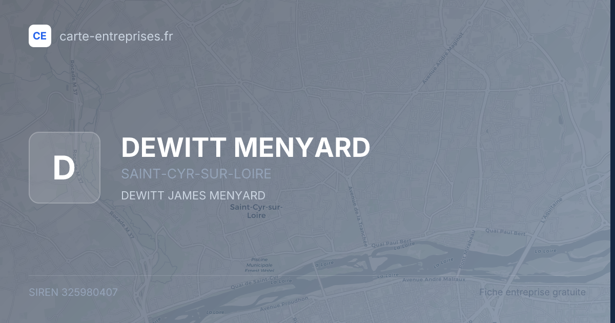 DEWITT MENYARD — 325980407 — fiche entreprise