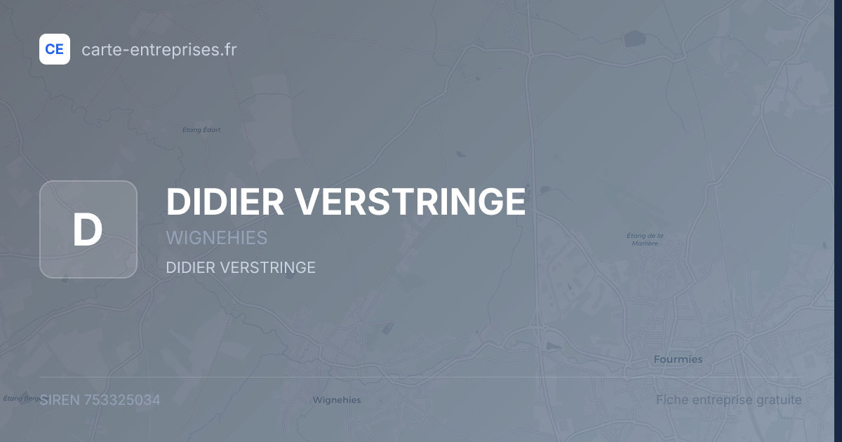 DIDIER VERSTRINGE — 753325034 — fiche entreprise