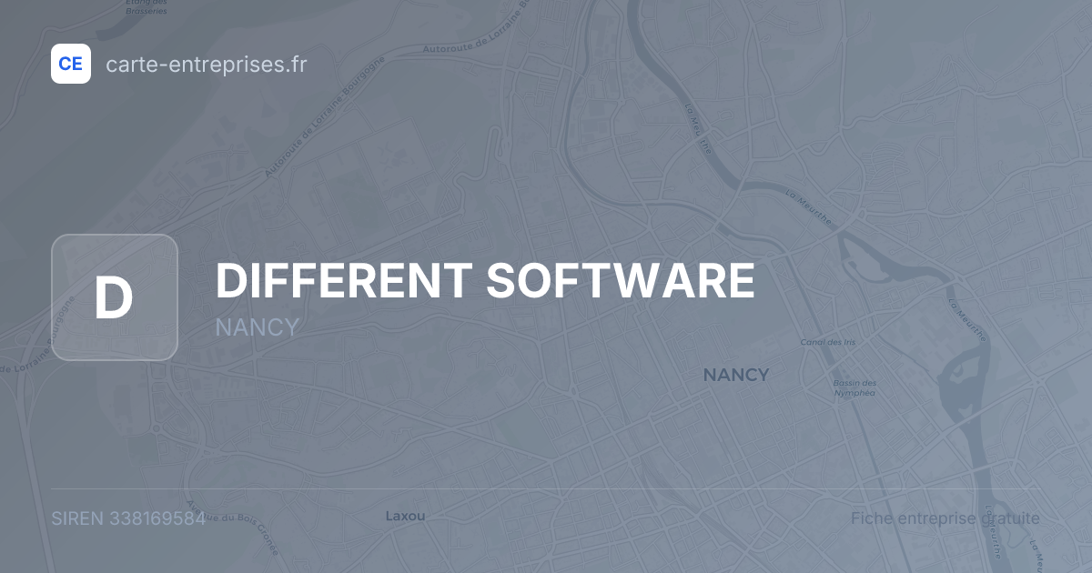 DIFFERENT SOFTWARE — 338169584 — fiche entreprise