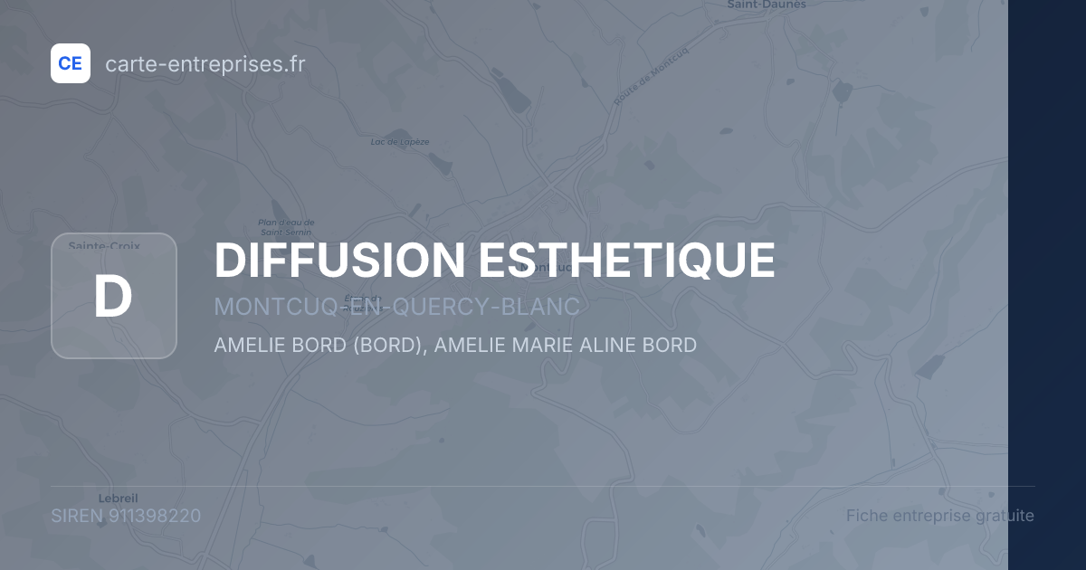 DIFFUSION ESTHETIQUE — 911398220 — fiche entreprise