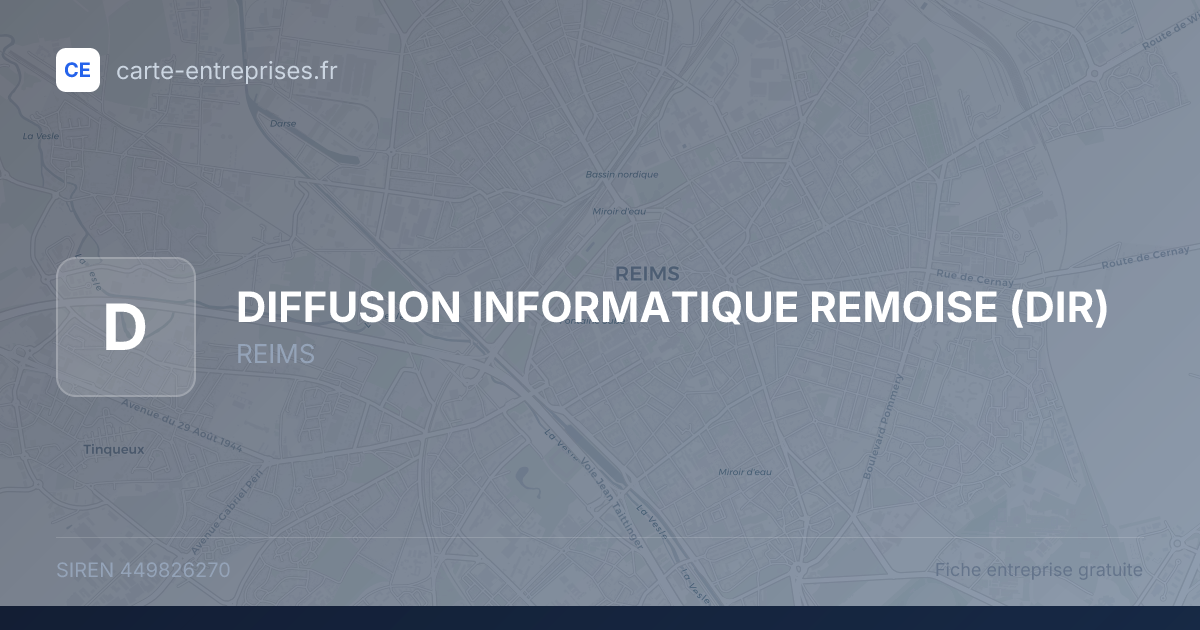 DIFFUSION INFORMATIQUE REMOISE (DIR) — 449826270 — fiche entreprise