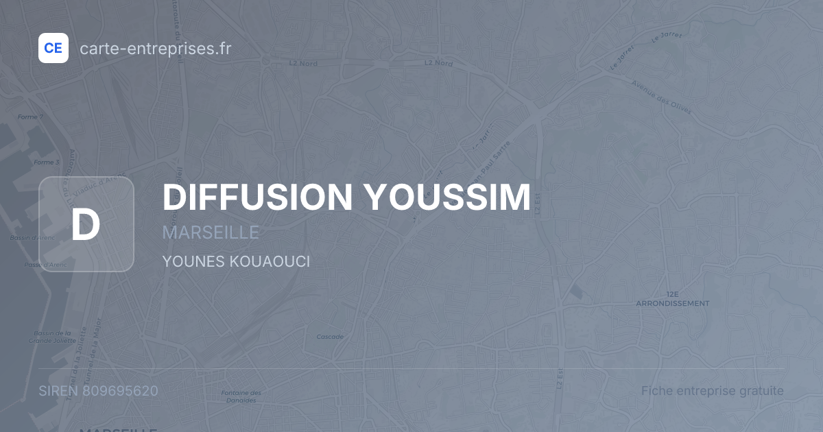 DIFFUSION YOUSSIM — 809695620 — fiche entreprise