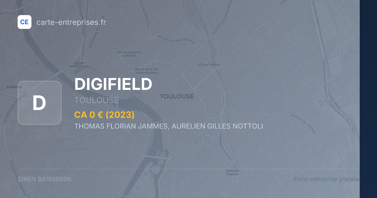 DIGIFIELD — 841858996 — fiche entreprise