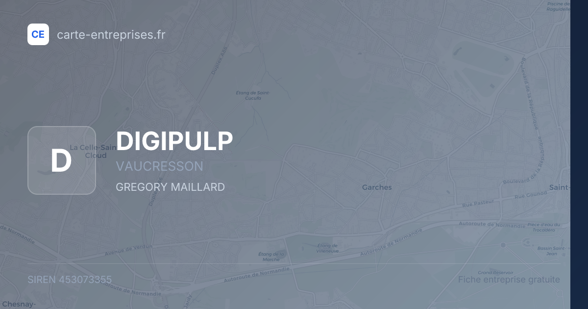 DIGIPULP — 453073355 — fiche entreprise