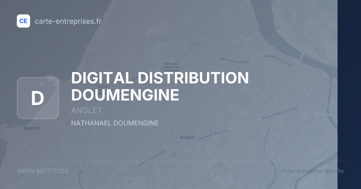 DIGITAL DISTRIBUTION DOUMENGINE — 987775293 — fiche entreprise
