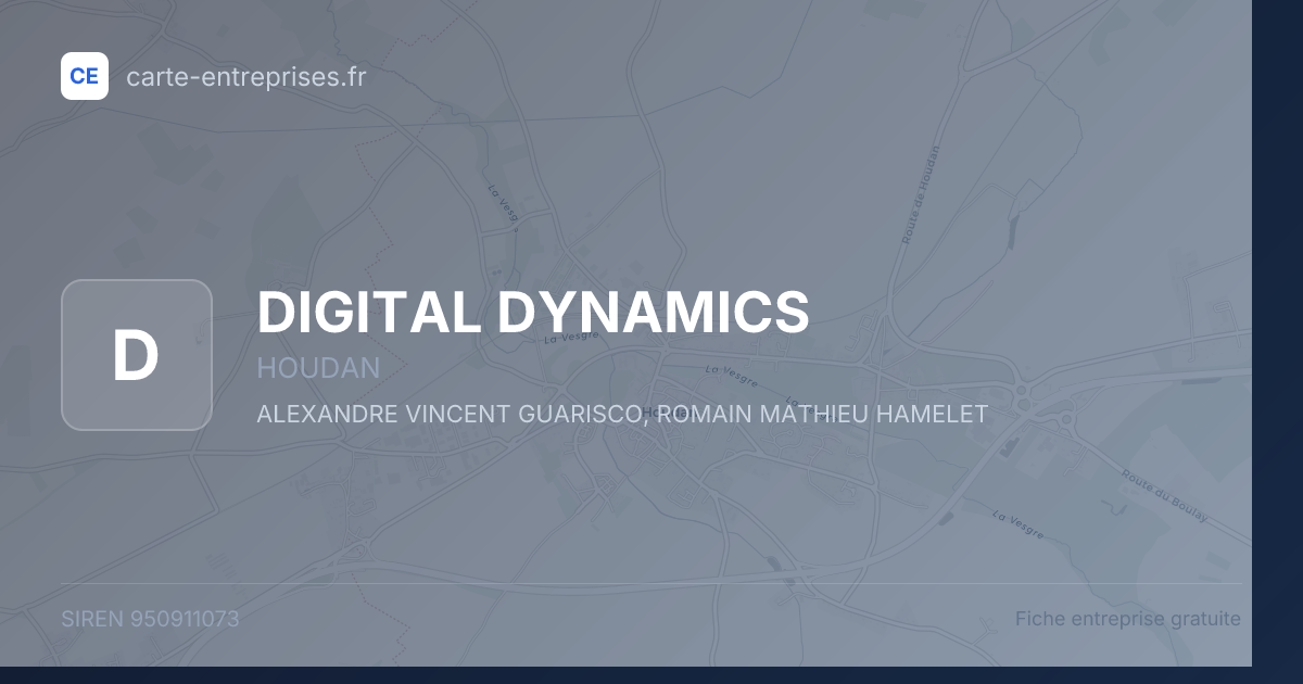 DIGITAL DYNAMICS — 950911073 — fiche entreprise
