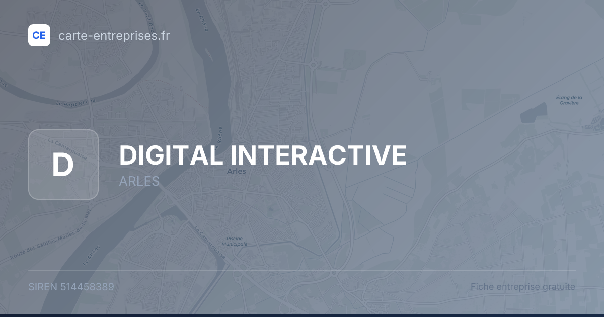DIGITAL INTERACTIVE — 514458389 — fiche entreprise