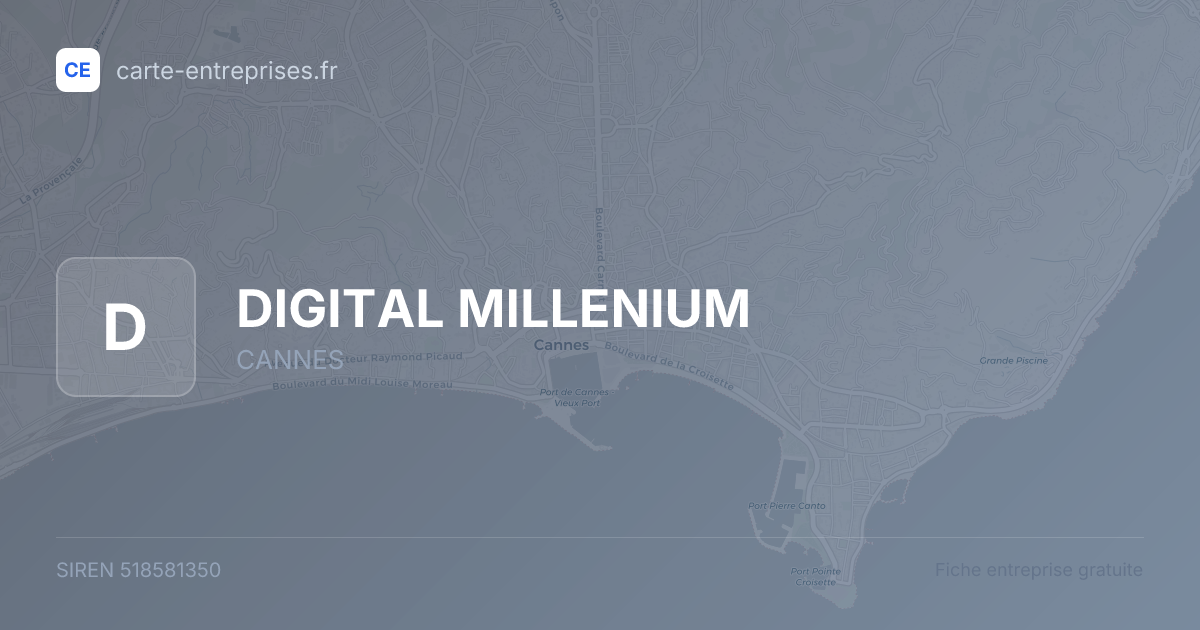 DIGITAL MILLENIUM — 518581350 — fiche entreprise