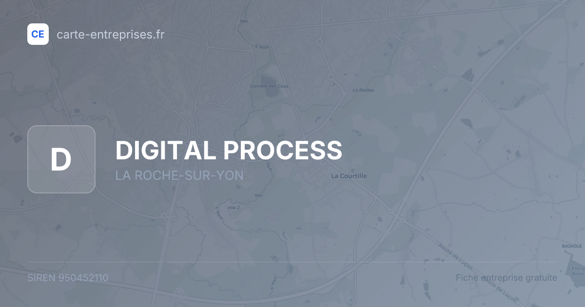 DIGITAL PROCESS — 950452110 — fiche entreprise